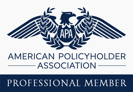 Logo of American Painting Association with letters APA